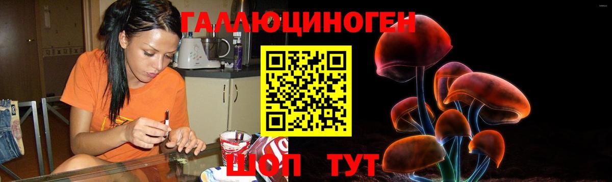 Великий Новгород  Галлюциногенные грибы Magic Shrooms  Вход с VPN 